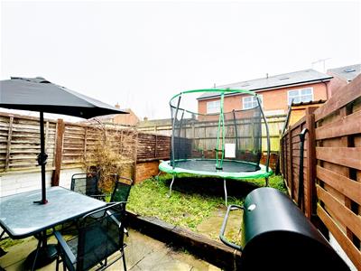 Picture 8